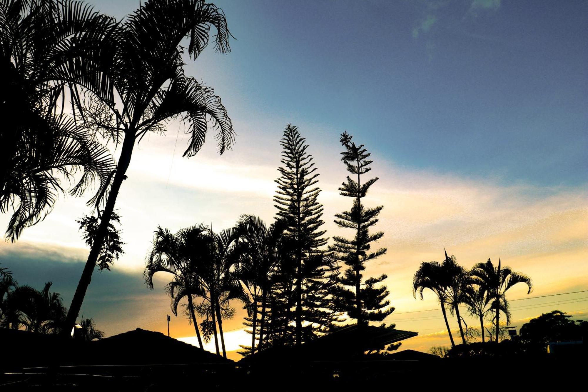 Hotel Quindio Campestre モンテネグロ エクステリア 写真