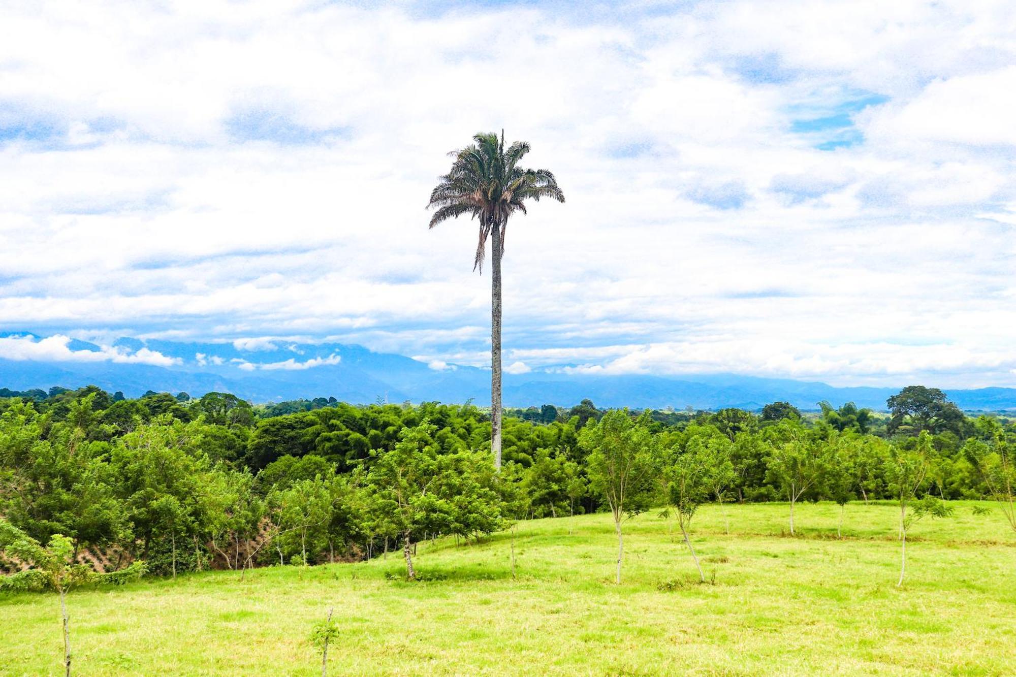 Hotel Quindio Campestre モンテネグロ エクステリア 写真